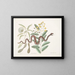 Acacia and fruit tree, shrubbery with oblong leaves and viper with minor rattlesnake tail - Mark Catesby — framed artwork on a wall