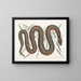 Un Recinoides and the bark of Ilathera, Anguis, and the copper-bellied snake - Mark Catesby — framed artwork on a wall