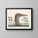 Le grand fou de Bassano - Mark Catesby — framed artwork on a wall