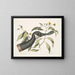 Goose of Canada Chrysanthemum c - Mark Catesby — framed artwork on a wall