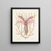 Cancellus maximus The Marine Hermit Crab Lithophyton c - Mark Catesby — framed artwork on a wall