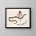 Cécilia Maculata, le serpent de verre, chrysanthème - Mark Catesby — framed artwork on a wall