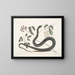 Frutex c Anguis c Le Serpent Noir - Mark Catesby — framed artwork on a wall