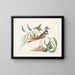 L'Tree of sorrel, the vociferous dunlin - Mark Catesby — framed artwork on a wall
