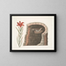 Swallow with Spiny Tail, the American swallow, red flower lily - Mark Catesby — framed artwork on a wall