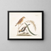 The Rice Sparrow - Mark Catesby — framed artwork on a wall
