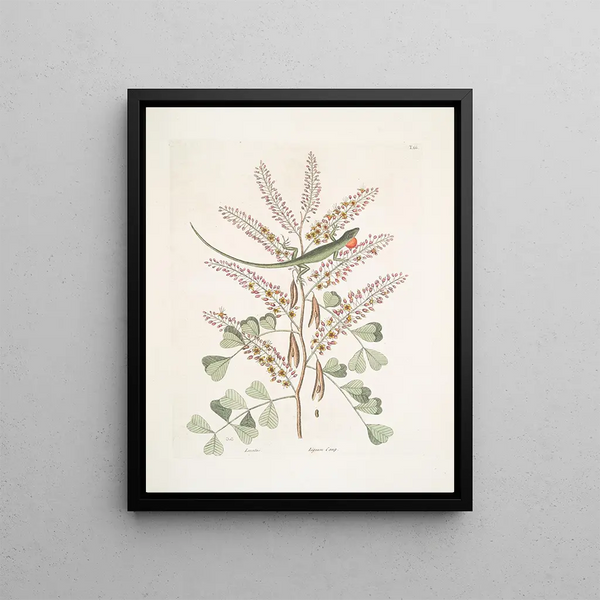 Lacertus veridis jamaïcain The Jamaican green lizard Lignum Campechianum Logwood - Mark Catesby — framed artwork on a wall
