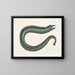 Murna maculata Le Muray - Mark Catesby — framed artwork on a wall