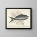 Fish, snakes, insects, and other animals as well as some plants - Mark Catesby — framed artwork on a wall