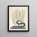 Fish, snakes, insects and some other animals, as well as some plant photos Pl021 - Mark Catesby — framed artwork on a wall