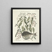 Fish, snakes, insects, and some other animals, as well as some plant photos Pl028 - Mark Catesby — framed artwork on a wall