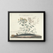 Images of fish, snakes, insects, and other animals as well as some plants - Mark Catesby — framed artwork on a wall