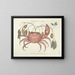 Fish, snake, insect, and other animal images as well as some plant images - Mark Catesby — framed artwork on a wall
