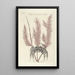 Piscium serpentum insectorum aliorumque nonnullorum animalum nec non plantarum quarundam imagines Pl035 - Mark Catesby — framed artwork on a wall