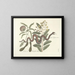 Images of fish, snakes, insects, and other animals as well as some plants Pl042 - Mark Catesby — framed artwork on a wall