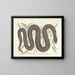 Images of fish, snakes, insects, and other animals as well as some plants Pl046 - Mark Catesby — framed artwork on a wall