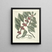 Fish, snakes, insects and some other animals, as well as some plant photos Pl047 - Mark Catesby — framed artwork on a wall