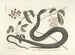 Images of fish, snakes, insects, and other animals as well as some plants Pl048 - Mark Catesby — artwork view