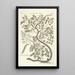 Piscium serpentum insectorum aliorumque nonnullorum animalum nec non plantarum quarundam imagines Pl051 - Mark Catesby — framed artwork on a wall