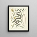 Fish, snakes, insects and some other animals, as well as some plant photos Pl053 - Mark Catesby — framed artwork on a wall