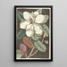 Piscium serpentum insectorum aliorumque nonnullorum animalum nec non plantarum quarundam imagines Pl061 - Mark Catesby — framed artwork on a wall
