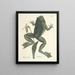Fish, snakes, insects, and some other animals, as well as some plant photos Pl072 - Mark Catesby — framed artwork on a wall