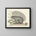 Images of fish, snakes, insects, and other animals as well as some plants Pl074 - Mark Catesby — framed artwork on a wall