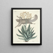 Fish, snakes, insects, and some other animals, as well as some plant photos Pl077 - Mark Catesby — framed artwork on a wall