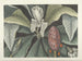 Images of fish, snakes, insects, and other animals as well as some plants Pl080 - Mark Catesby — artwork view