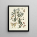 Fish, snakes, insects and some other animals, as well as some plant images Pl084 - Mark Catesby — framed artwork on a wall