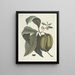 Fish, snakes, insects and some other animals, as well as some plant photos Pl085 - Mark Catesby — framed artwork on a wall