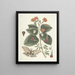 Fish, snakes, insects and some other animals, as well as some plant images Pl091 - Mark Catesby — framed artwork on a wall