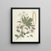 Fish, snakes, insects, and some other animals, as well as some plant images Pl093 - Mark Catesby — framed artwork on a wall