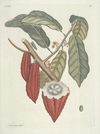 Mark Catesby - Piscium serpentum insectorum aliorumque nonnullorum animalum nec non plantarum quarundam imagines Pl103.webp