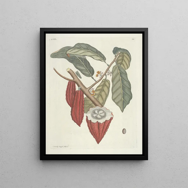 Fish, snakes, insects and some other animals, as well as some plant photos Pl103 - Mark Catesby — framed artwork on a wall