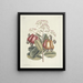 Fish, snakes, insects, and some other animals, as well as some plant photos Pl105 - Mark Catesby — framed artwork on a wall