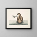 The black-crowned grebe - Mark Catesby — framed artwork on a wall