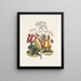 Pomifera c Le Cushew Tree - Mark Catesby — framed artwork on a wall