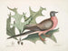 Scarlet Oak, wider and spikier leaves, Passenger Pigeon - Mark Catesby — artwork view