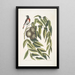 Ruticilla Americana The American Redstart Juglans Nigra The Black Walnut - Mark Catesby — framed artwork on a wall