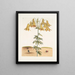 Scarabée américain des pilules The Tumble Turds Lily c - Mark Catesby — framed artwork on a wall