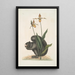 Sciurus Niger L'Ècureuil Noir Calceolus Le Sabot de Vénus - Mark Catesby — framed artwork on a wall