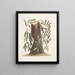 Sittelle à tête noire The oak of the willows of the Highlands Sittelle à tête brune The little Sittelle - Mark Catesby — framed artwork on a wall
