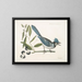 Smilax lisse, laurier à feuilles non dentées, baies noires, le Smilax à feuilles de laurier, Pica cristata carulea, le Geai huppé bleu - Mark Catesby — framed artwork on a wall
