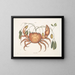 Tapie et cancer terrestre, le crabe de terre - Mark Catesby — framed artwork on a wall