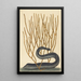 La Murène Noire Muraenae helenae varietas - Mark Catesby — framed artwork on a wall