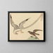 The rice paddy bunting - Mark Catesby — framed artwork on a wall