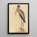 The Pelican of the Woods Tantalus Loculator - Mark Catesby — framed artwork on a wall