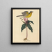 The Polyglot Warbler - Mark Catesby — framed artwork on a wall