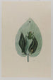 Rainette - Mark Catesby | Painting — artwork view